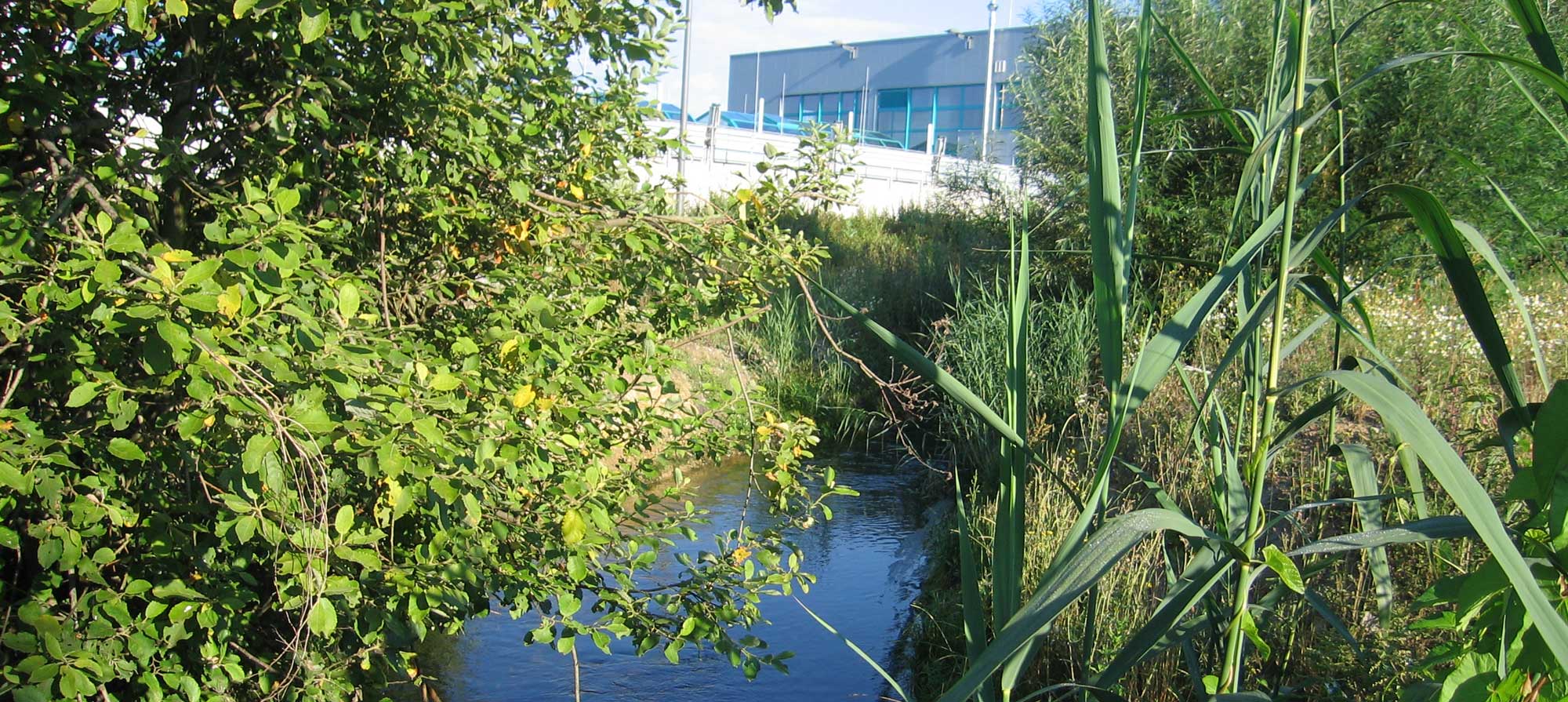 DWA BW - Auslauf der Kläranlage Sindelfingen